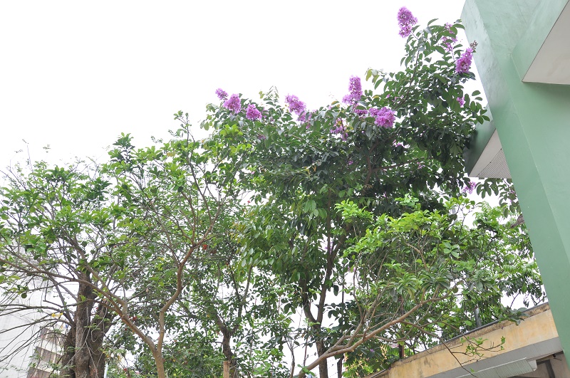 image003