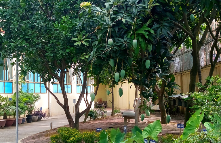 quang-canh-tri-duc-2